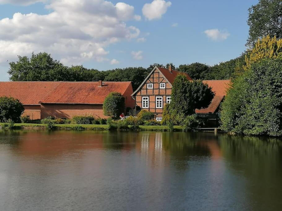 Blick über den Mühlenteich auf die historische Wassermühle Bruchmühlen, eingebettet in eine idyllische Naturlandschaft.